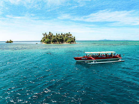 Star Collector: The Cook Islands & Forever French Polynesia